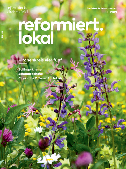 Titelbild reflok 5